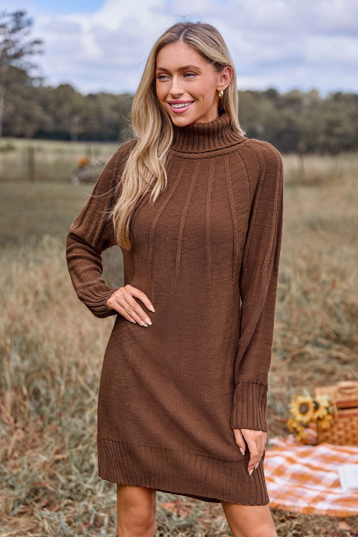 Brown Turtleneck Long Sleeve Mini Sweater Dress