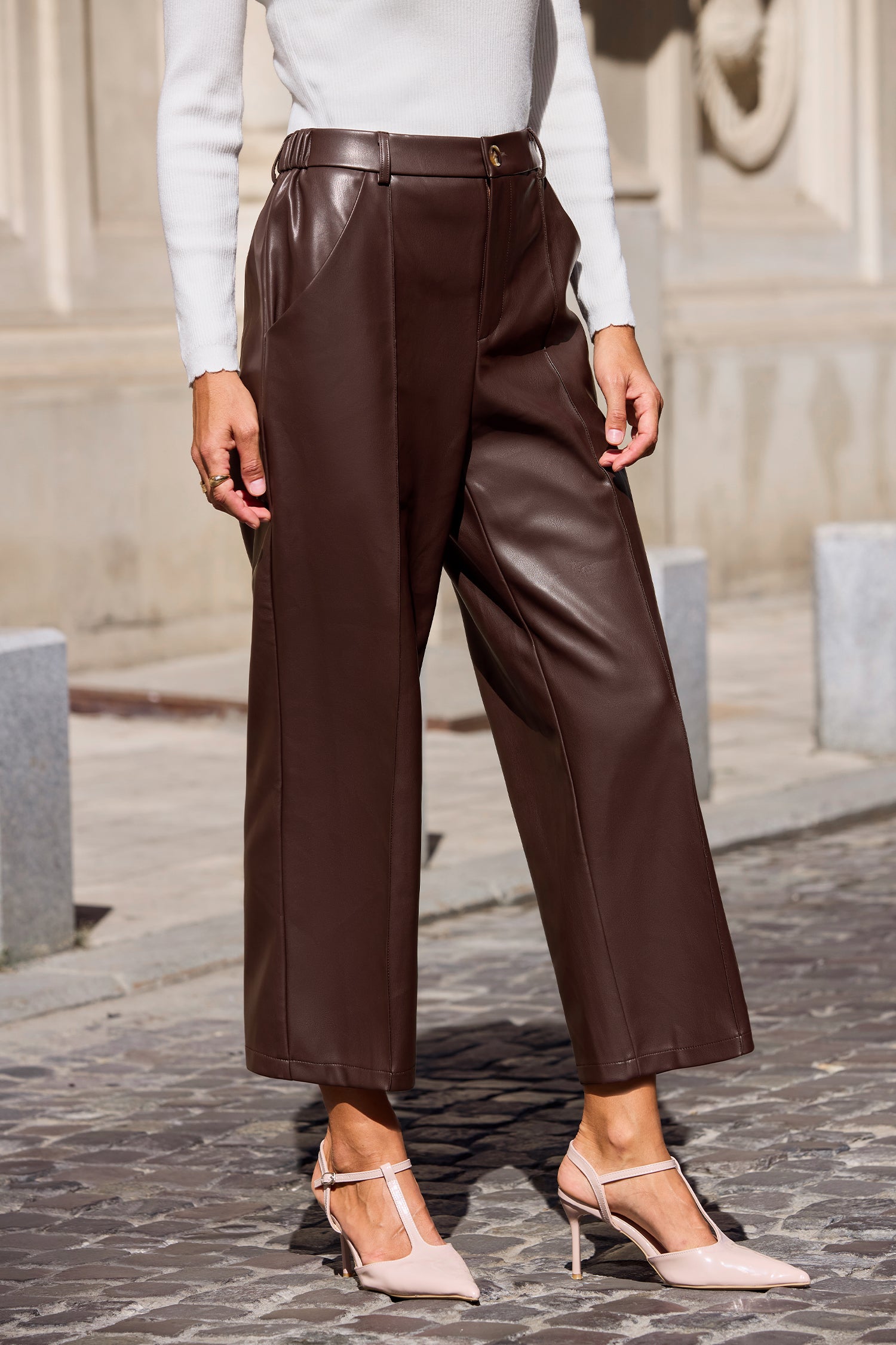 Danger Zone Brown Pants