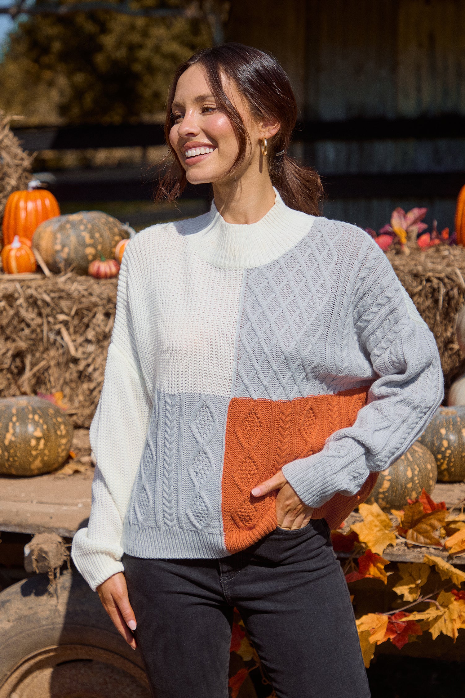 Colorblock Cable Knit Long Sleeve Turtleneck Sweater